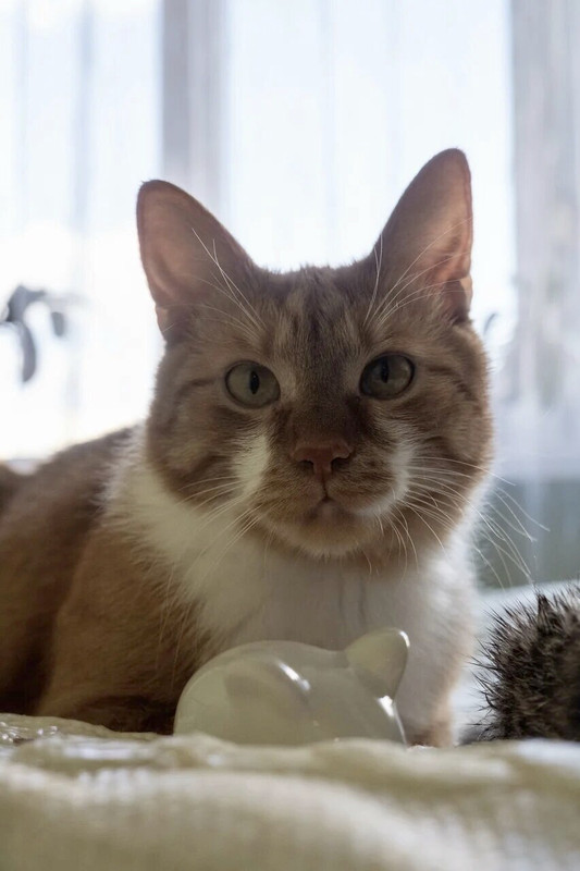 59703701-4A18-48B8-823F-814D1CDF6EE1