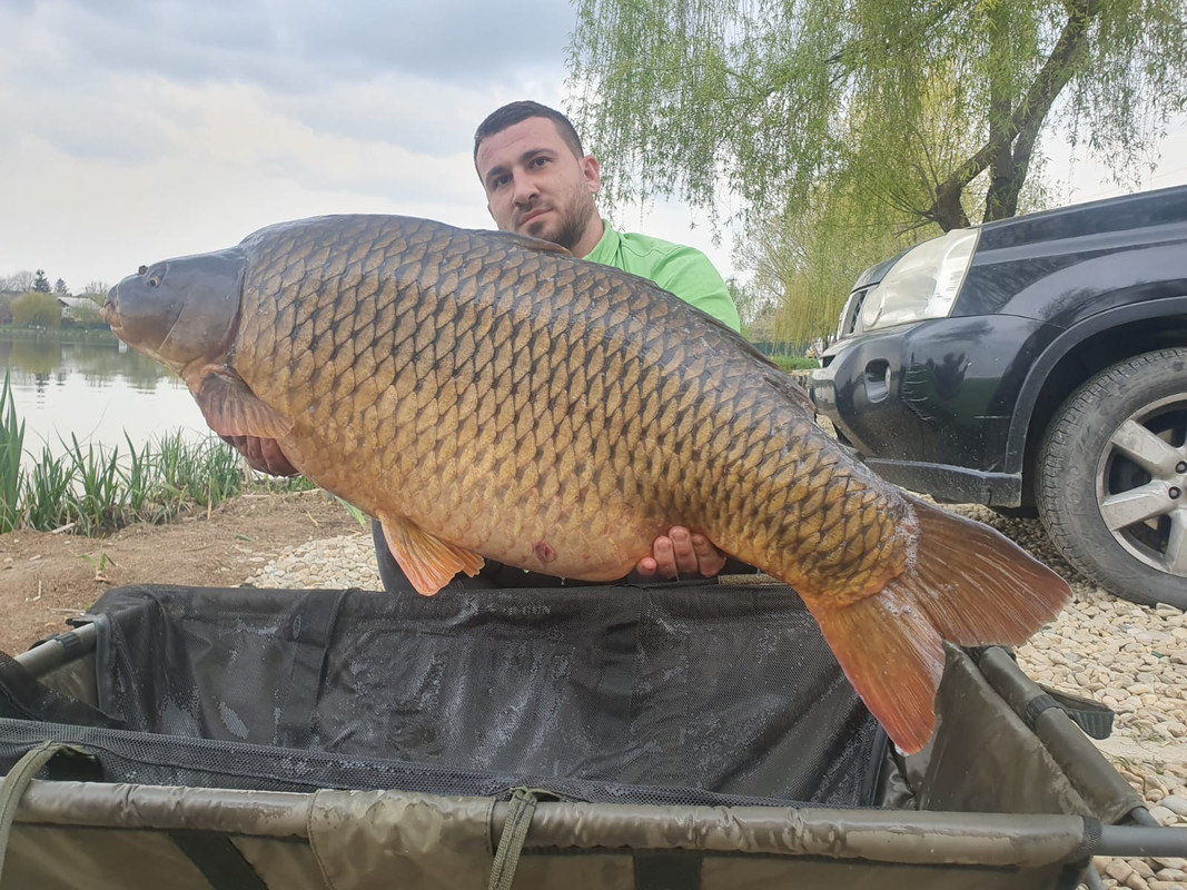 WhatsApp Image 2021-04-19 at 18.28.03 (9)