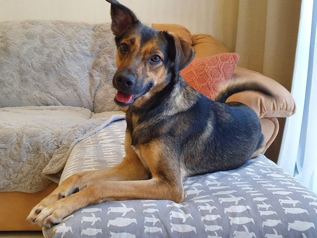 изображение_viber_2022-01-12_14-11-50-288