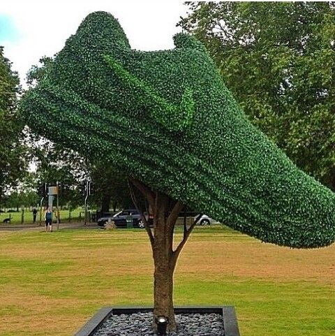 green-hedge-nike-shoe.jpg