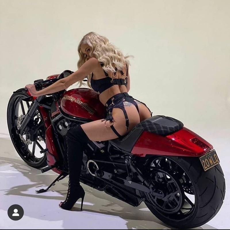 MOTO-d473c.jpg