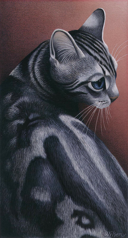 01-cropped-cat-1-carol-wilson