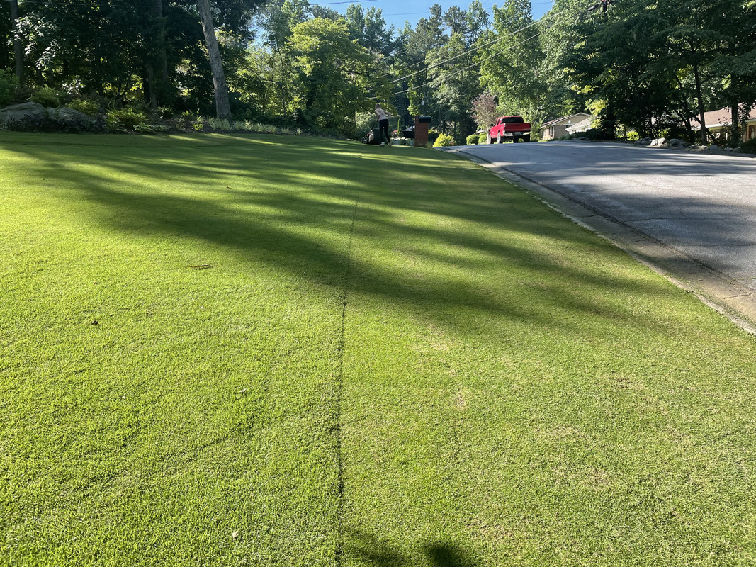 363E62E0-4D72-4E14-B436-6D9179C9CE88