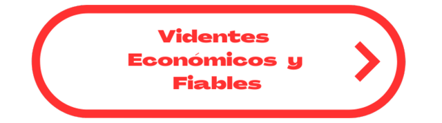 videntes economicos y fiables
