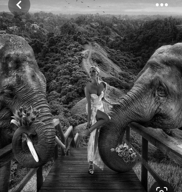 Screenshot_20230607_000030_Pinterest