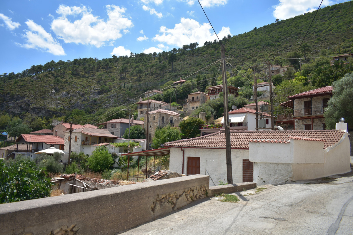 Αγριάνοι (5)