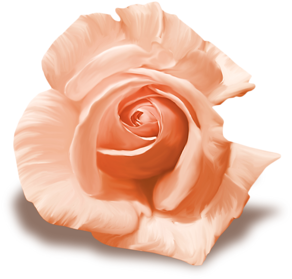 TADD_elements_ShimmerFall (20)