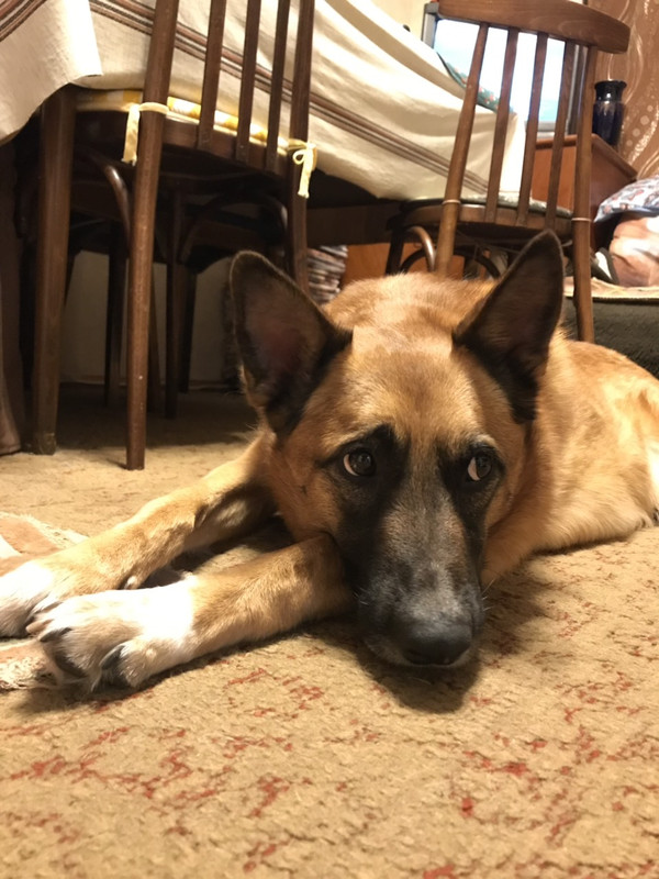 изображение_viber_2019-07-16_15-16-42