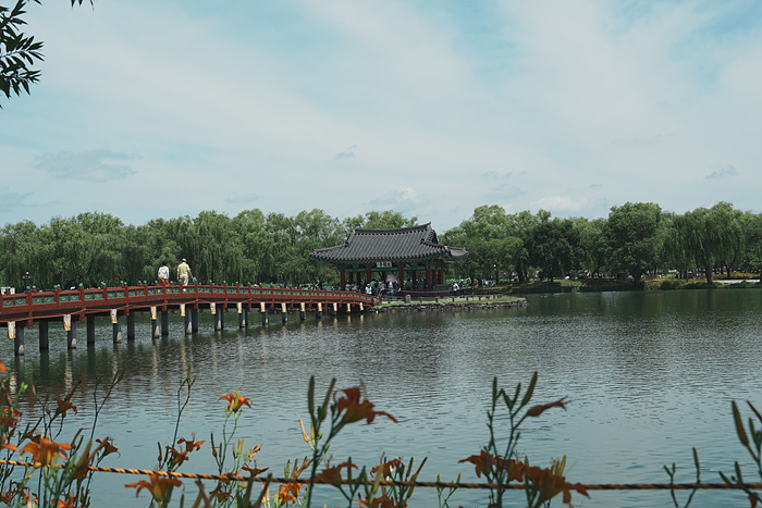 DSC02260