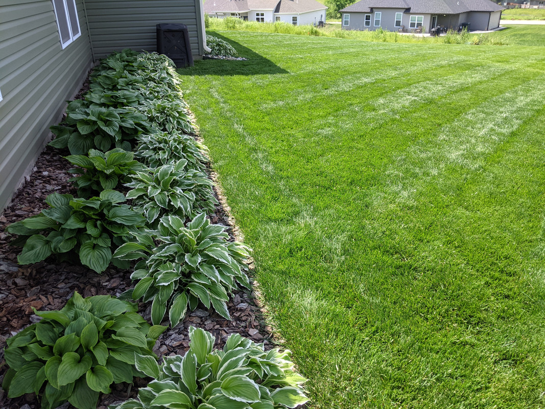 PXL_20210523_193529045