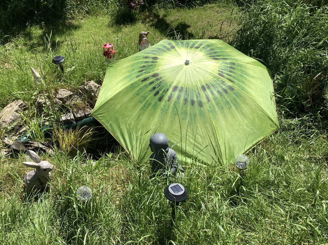 BCF61E98-7E7F-433A-9405-C2DED49D82D2