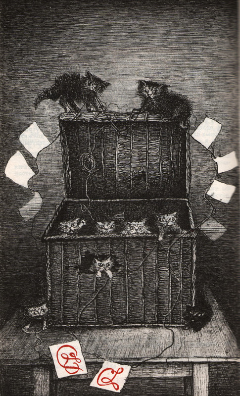 Юрий Ващенко «История с узелками»