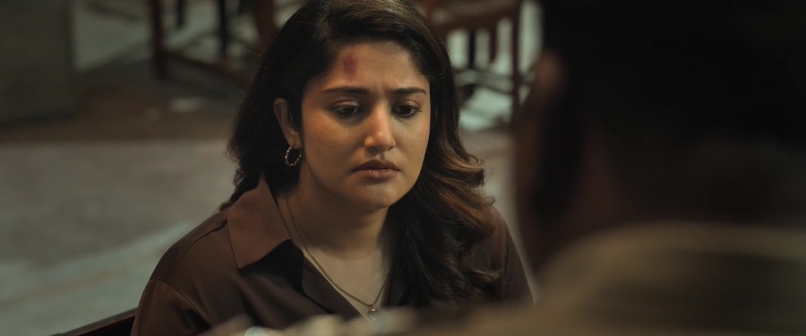 Turbo 2024 WebRip [Hindi + Tamil + Telugu + Malayalam + Kannada] 480p, 720p, 1080p ESub Screenshot