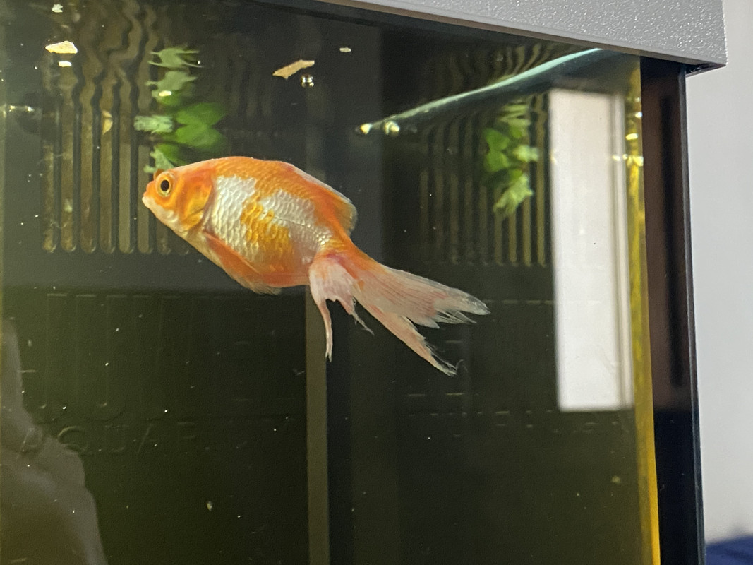 4019F816-3858-4F69-AB42-4FEBB2230E0C