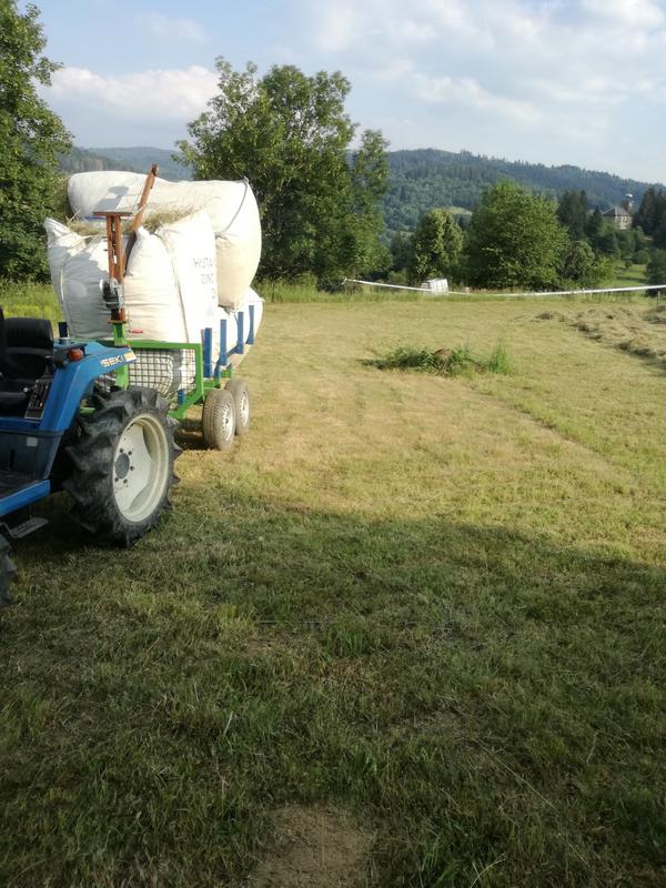 IMG_20180619_181146[1]