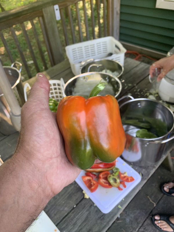 B9B2B4B6-77C5-4810-981B-B81D92EDEFB8