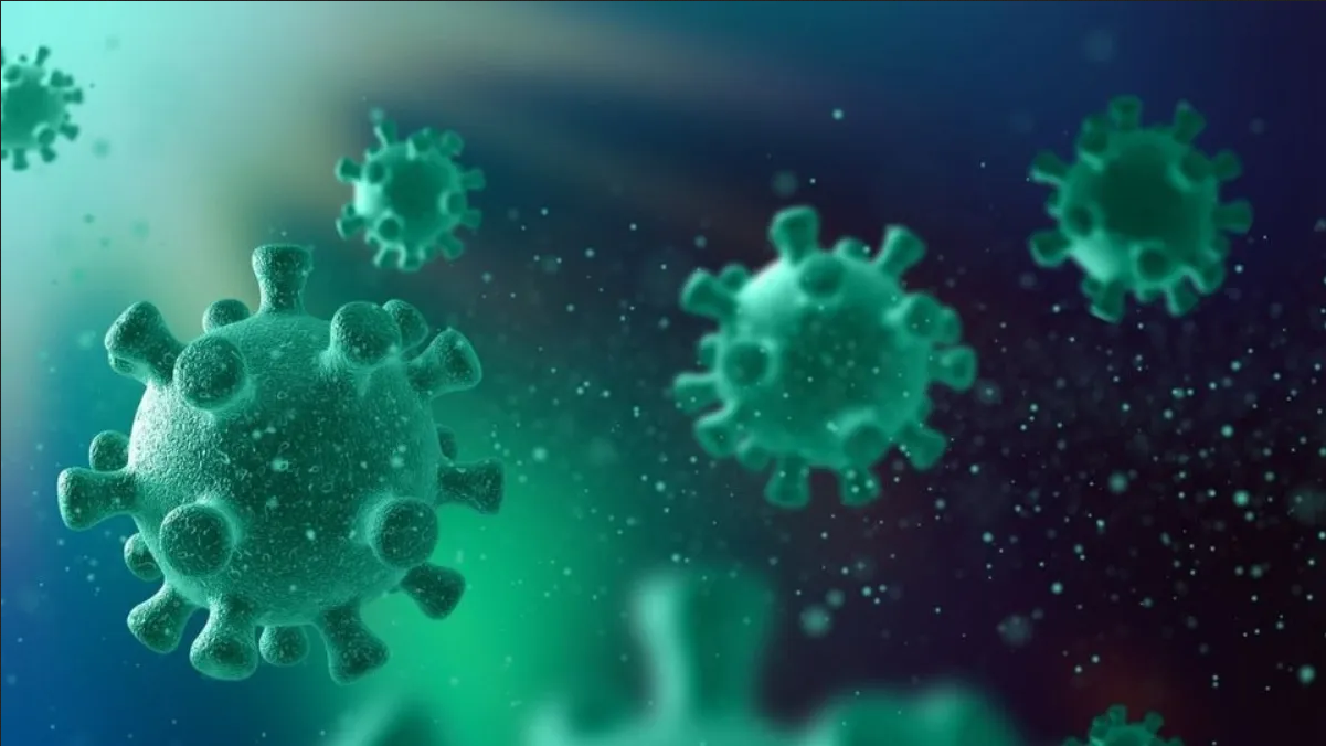 Detectan extraño virus en Perú, ¿habrá otra pandemia?