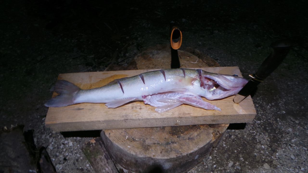 рыбалка джиг спиннинг (21)