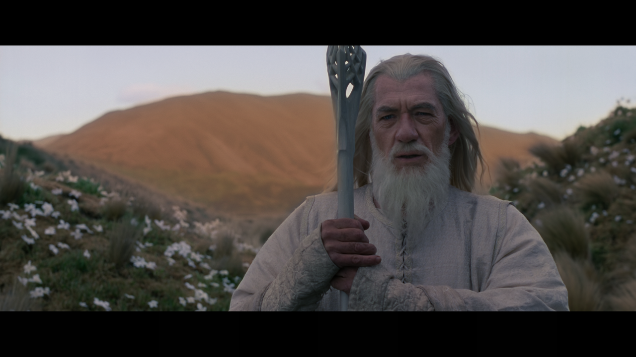 The Lord of the Rings- The Two Towers (EXT.) PT. 1.mkv_snapshot_01.26.20_[2020.12.08_18.18.07]