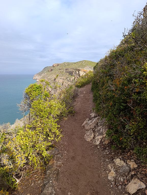 Такая близкая Африка. (ЮАР. 22 дня и 4200 км. Ноябрь-Декабрь)