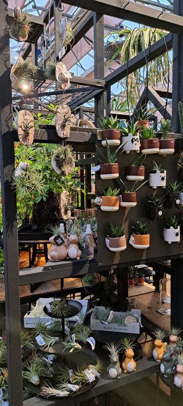 [Image: 20231012-171836.jpg]