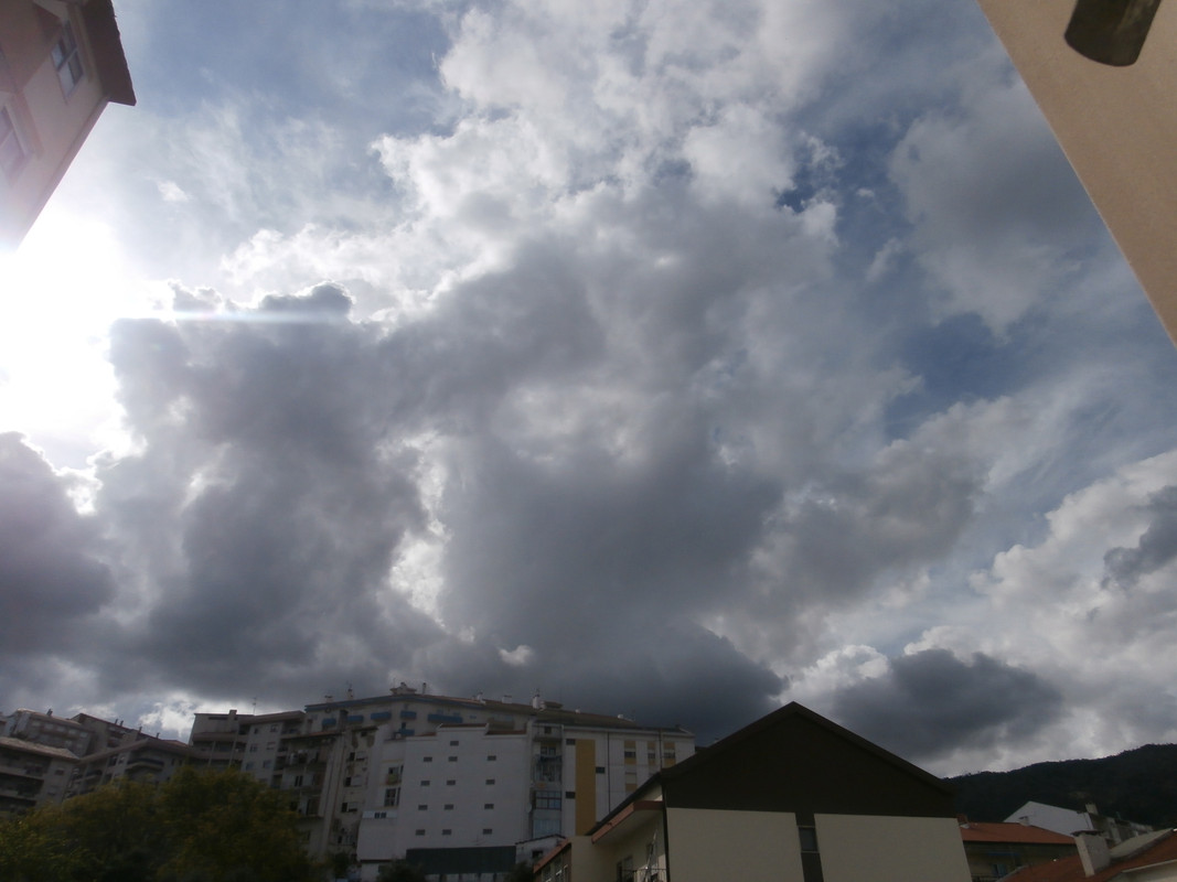 P4110013.jpg