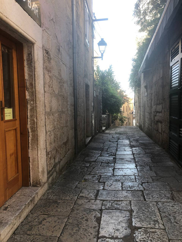 photo_2024-10-29_12-56-20