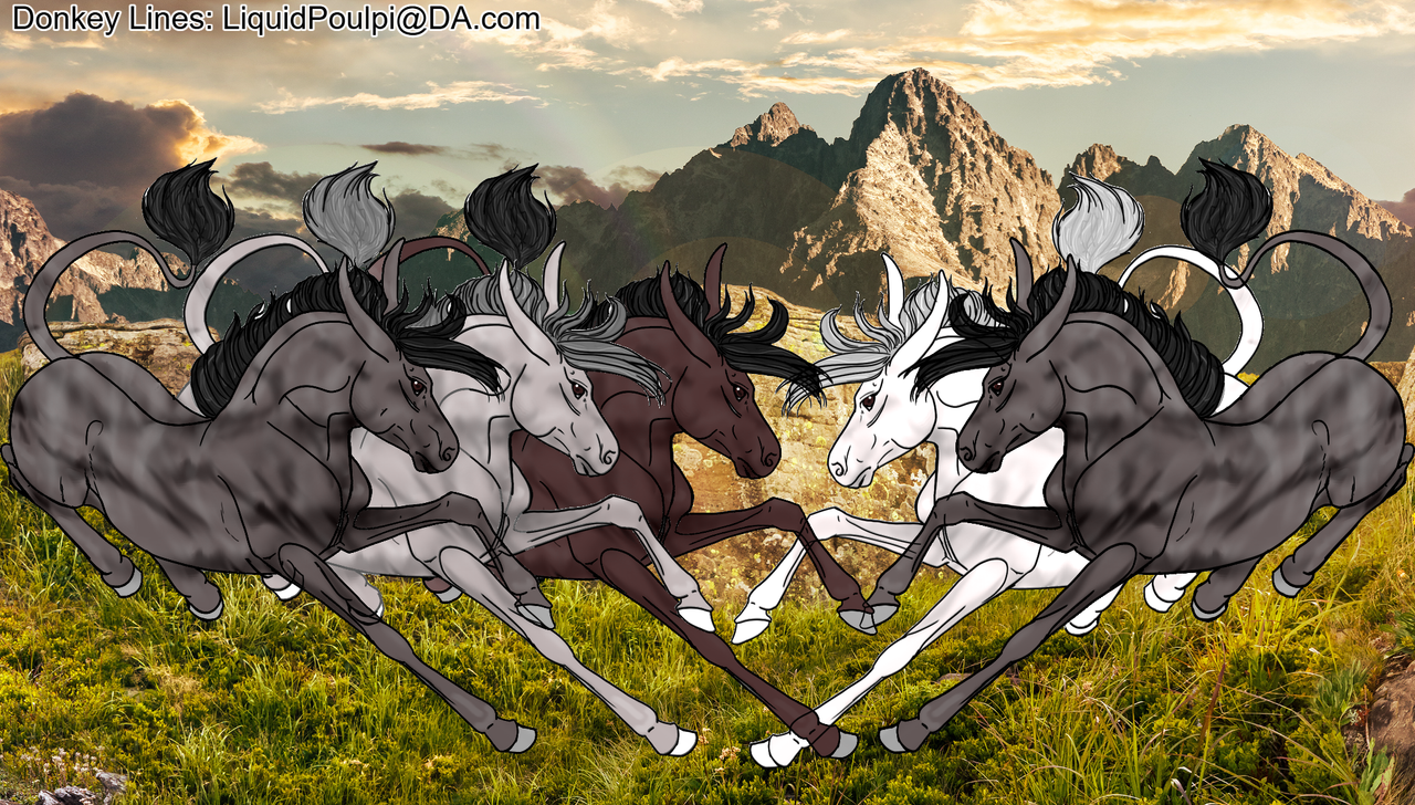 All-5-With-Background-Adobe-FREE-Stock.png