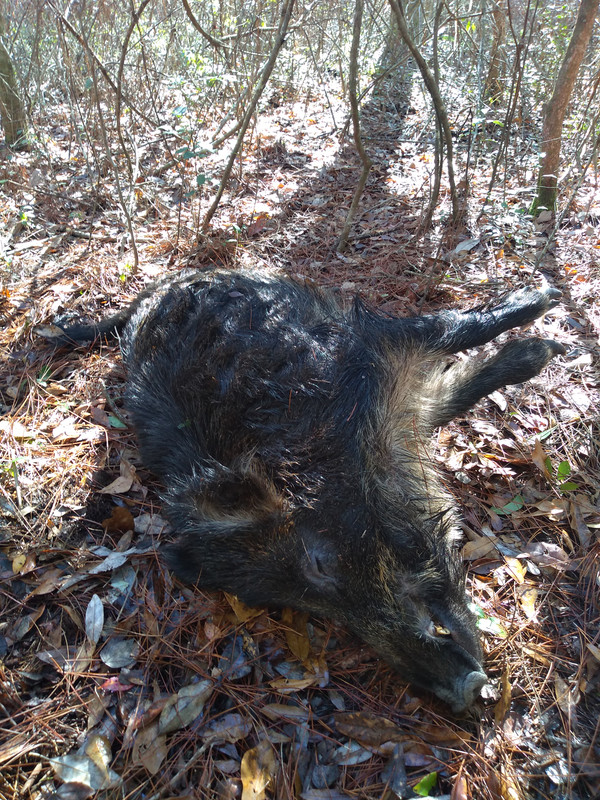 IMG_20240110_110401303