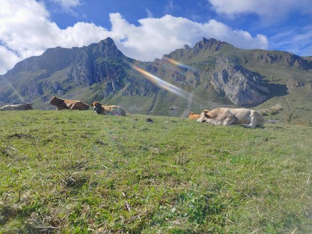 Otro puente en Asturias - Blogs de España - Domingo 11 Octubre. Ruta Valle del Lago (Somiedo) (10)