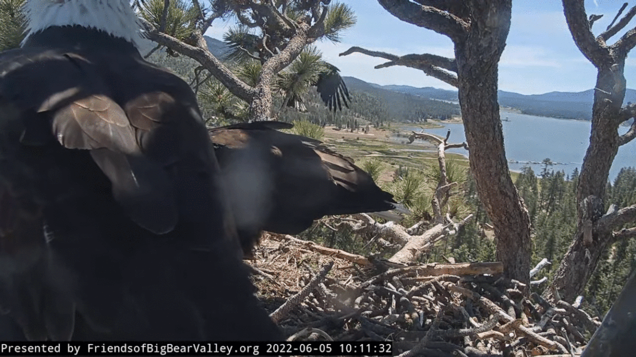 Webp.net-gifmaker (17)