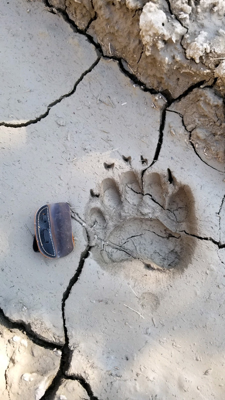 55AC3498-AEAD-4FEC-AF31-92973E378047