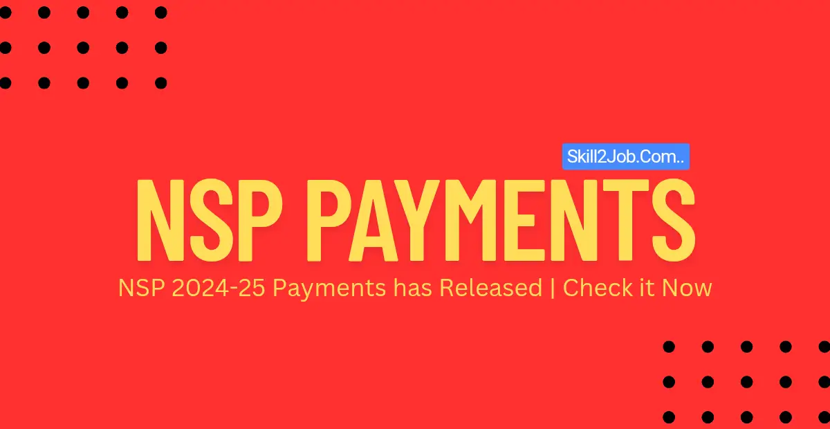NSP Payment Preview