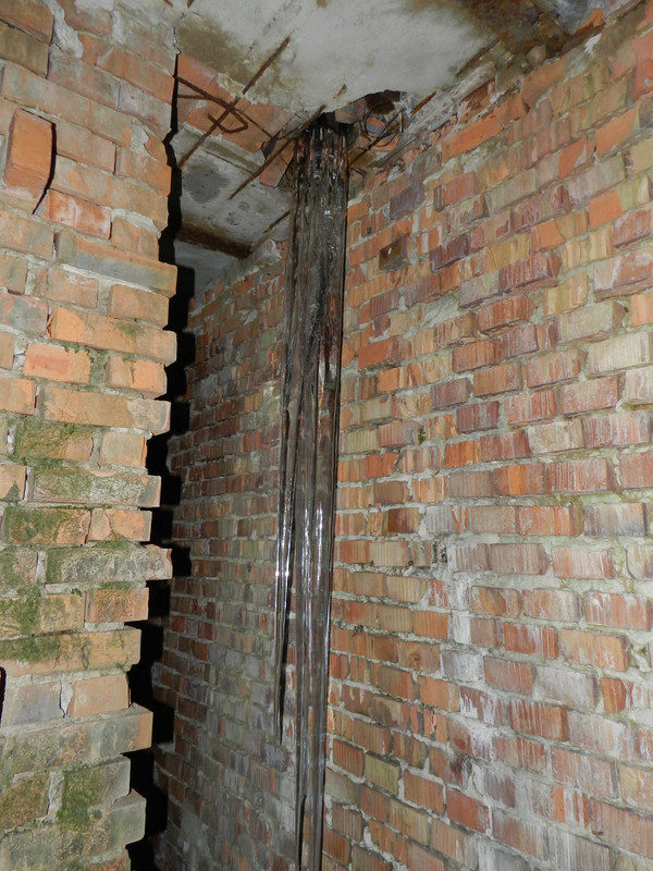 03.15 - DSCN7649 (Milady)