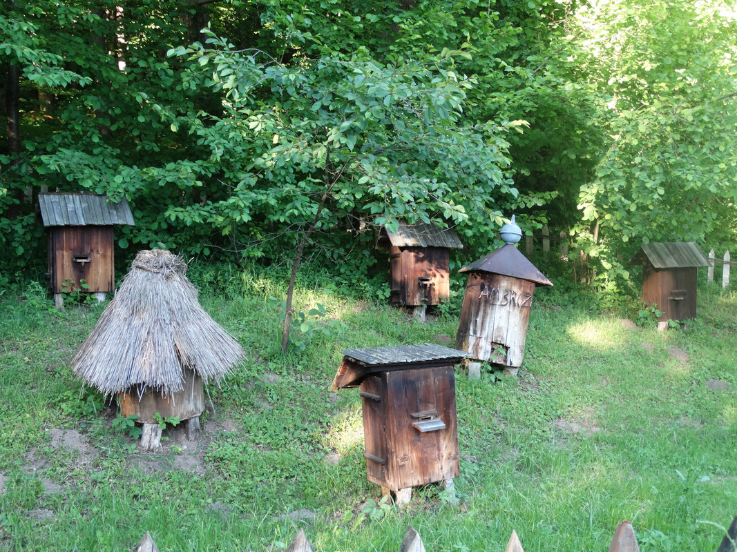 142c - DSC01390 (Milady)