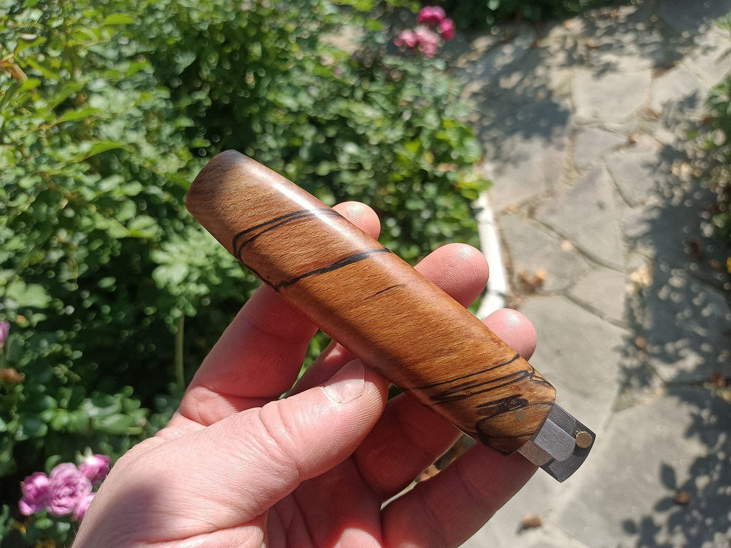 457231433_3594150104168020_985879135895664092_n