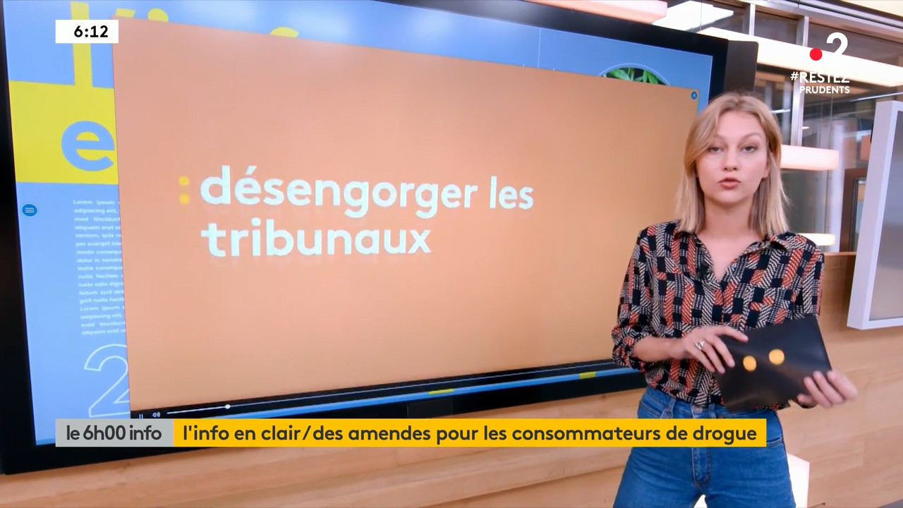 2020-06-17_06_00_Fr2_Le-6h00-info.mp4_snapshot_17.21.940