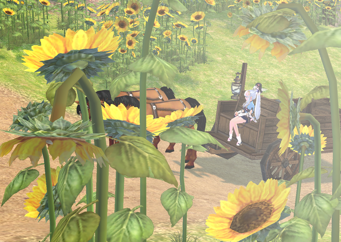 Mabi-Sunflowers.png
