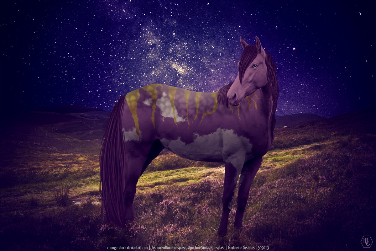 41A62734-5E8C-4860-8CD4-257EFD575FA8