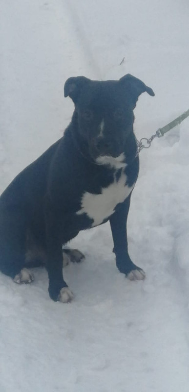 5BBAAA26-5C50-4BDE-A16C-481C6BEB4B11