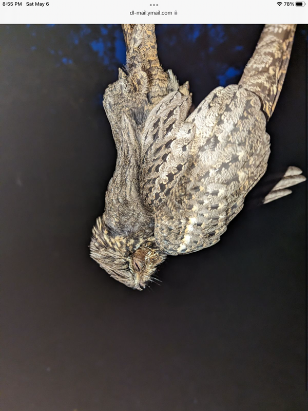 289FAFE8-9F00-44C7-B9AF-1C9716276347