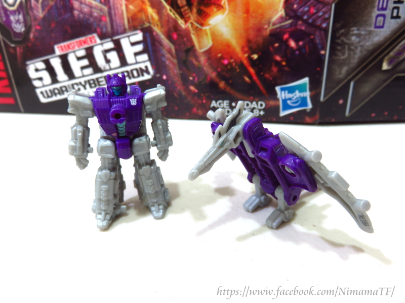 Siege-Phantom-Strike-Squadron-21