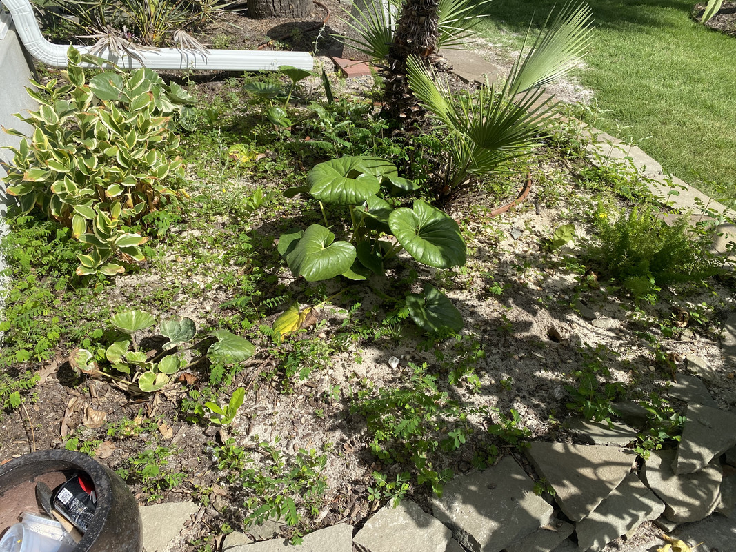 75805159-298B-4617-84CE-92EBB693E676