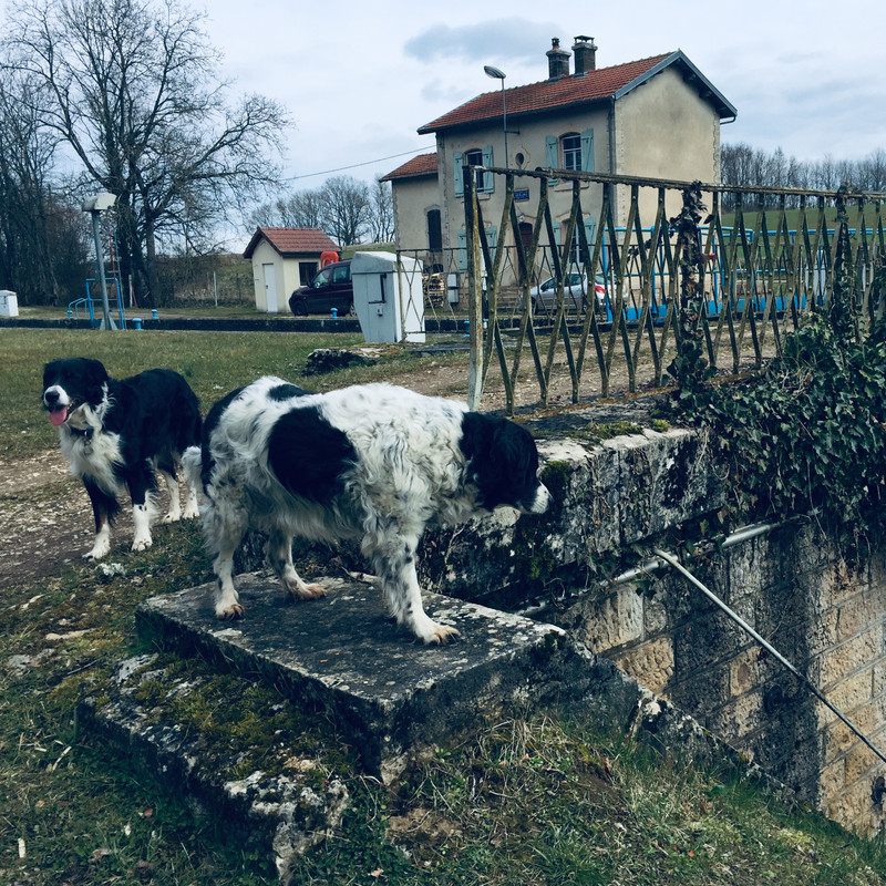 2A29B3C8-CD37-4035-895E-621D95388832