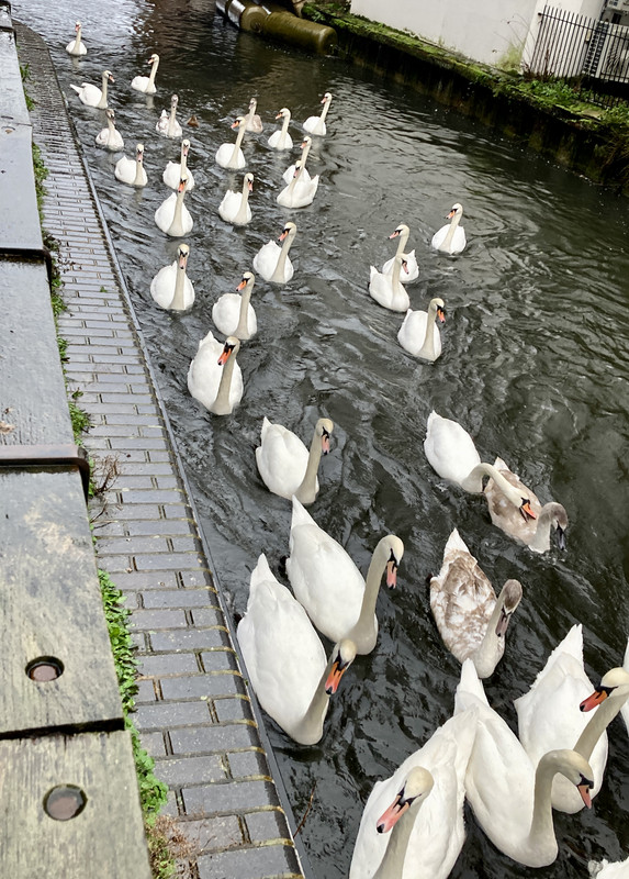 FC889C01-A2E2-4F0B-8B7E-4905CC9D4CB2