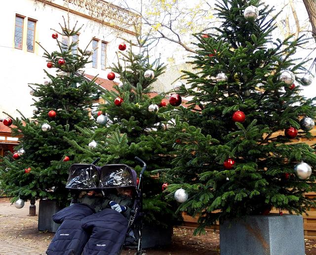 2 Dic: Nos vamos a Colmar! - ALSACIA EN NAVIDAD Y MONTREUX CON PAPÁ NOEL (26)