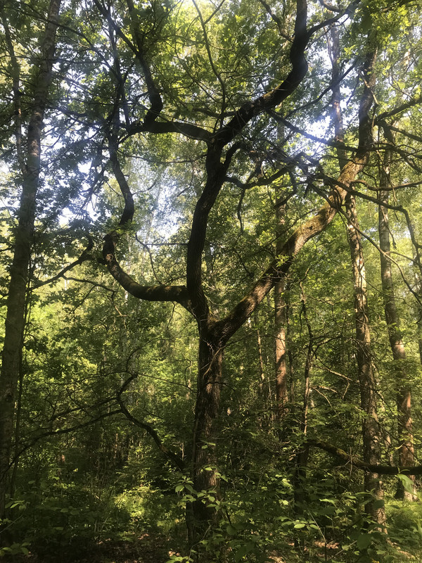 E3B7B9BA-06B5-4216-904E-2DFD3FA0200F