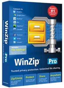 WinZip Pro 26.0 Build 15195