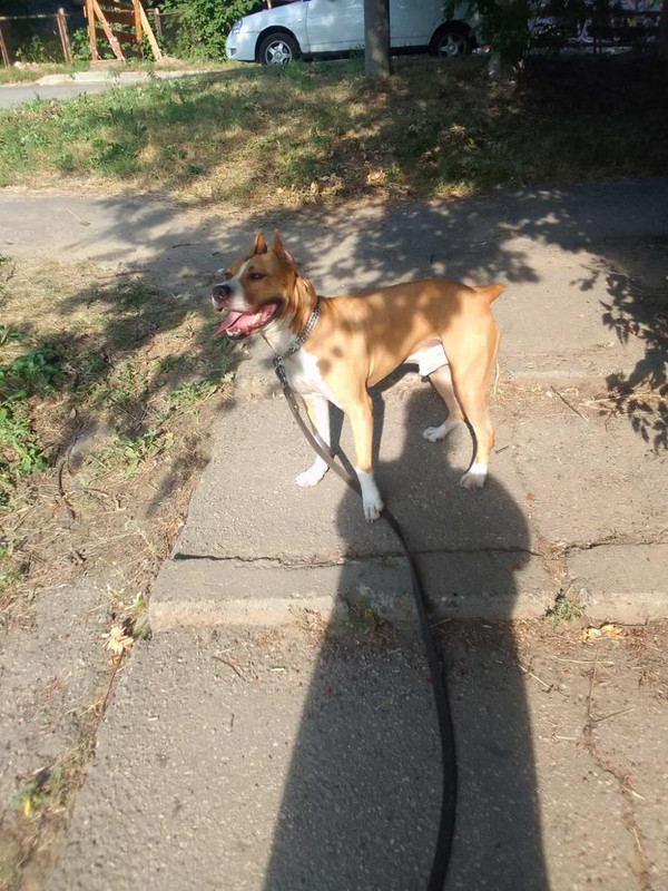 6BE1377E-1C23-4322-8488-B308D594D7AF