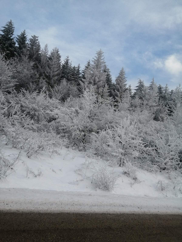 IMG c23dda000ba1c6e65288e8a5c663dbd0 V